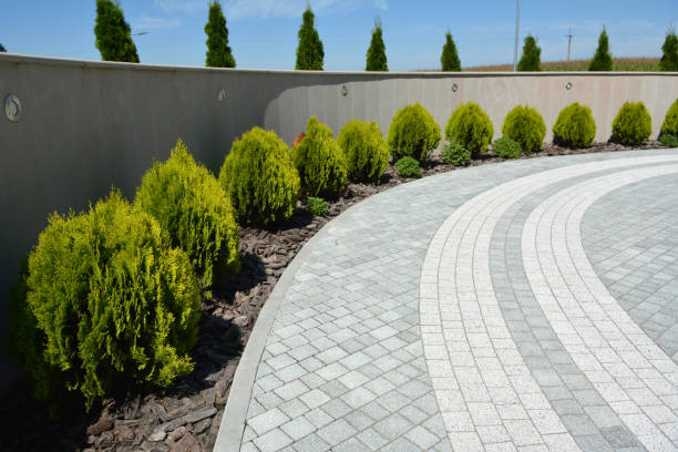 Best Driveway Pavers Near Me  in Sansom Park, TX